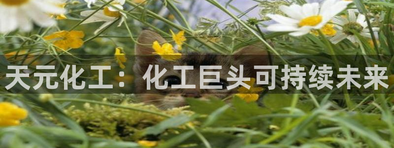 球盟会邮箱