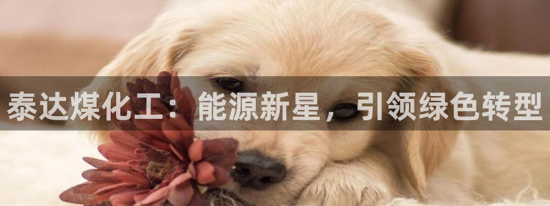 球盟会中国网页登录