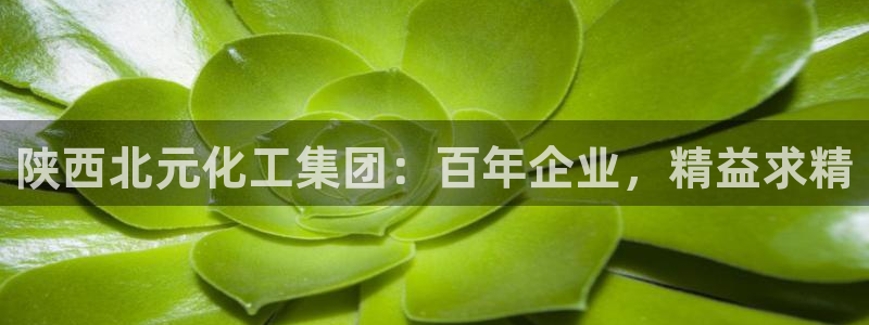球盟会官方下载