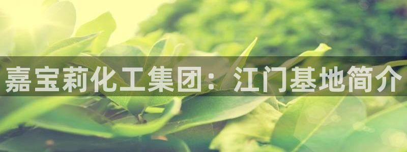 球盟会APP最新地址