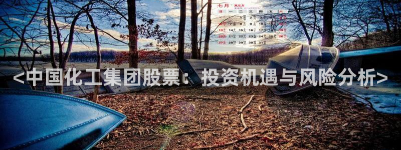 球盟会网页版
