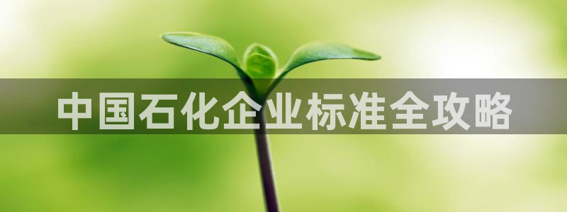 球盟会在线登录