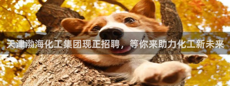 球盟会app最新地址在哪找