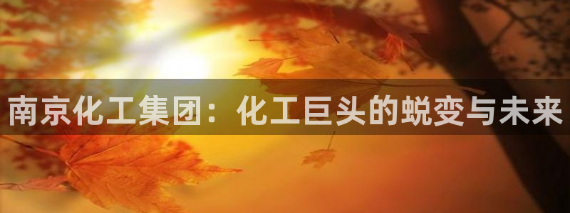 球盟会里面有打牌的嘛知乎