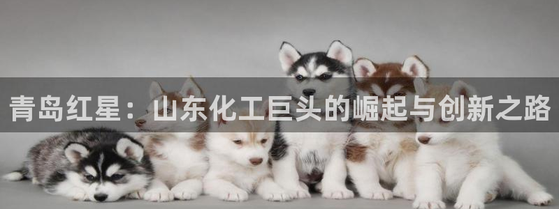球盟会吧