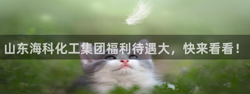 球盟会电子好下吗
