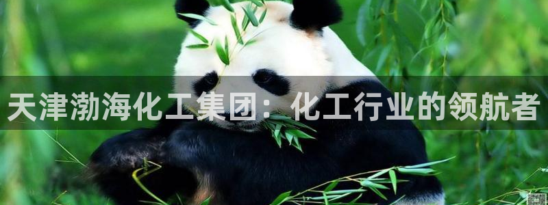 球盟会最新