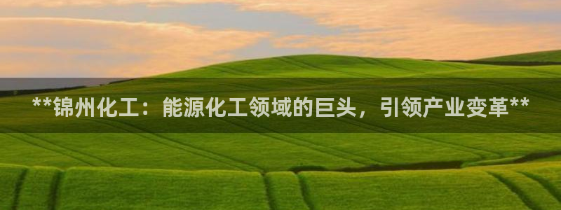 球盟会可以提现么是真的吗