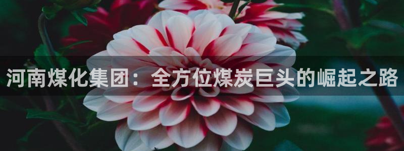 球盟会邮箱