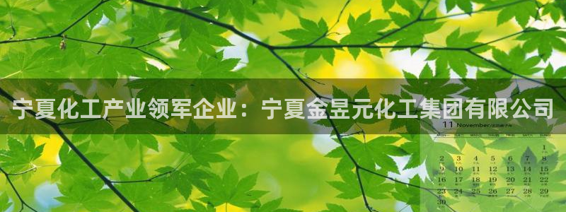 球盟会电子好黑：宁夏化工产业领军企业：宁夏金昱元化工集团有限