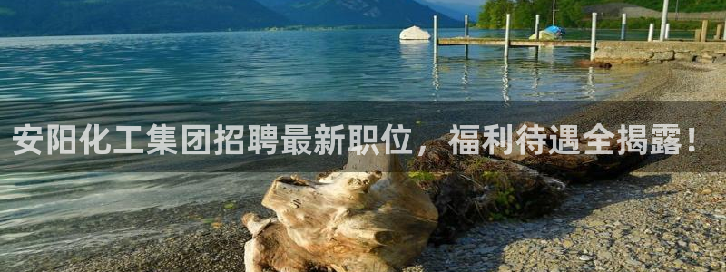 球盟会app网址多少