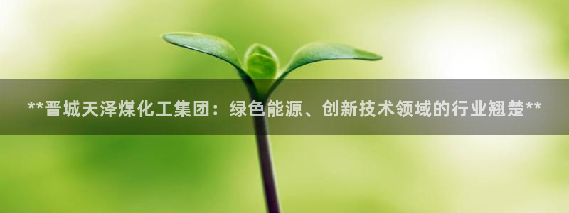 球盟会黑钱：**晋城天泽煤化工集团：绿色能源、创新技术领域的