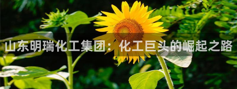 球盟会邮箱
