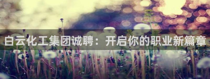 球盟会下款快吗