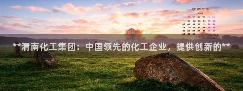 球盟会最新地址备用：**渭南化工集团：中国领先的化工企业，提