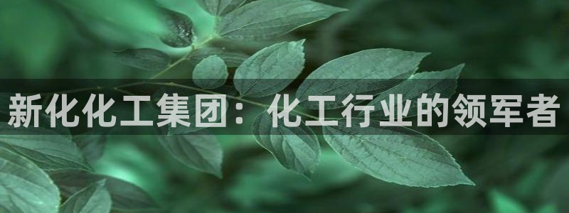 球盟会体验金