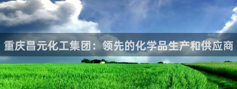 球盟会电子游戏平台：重庆昌元化工集团：领先的化学品生产和供应