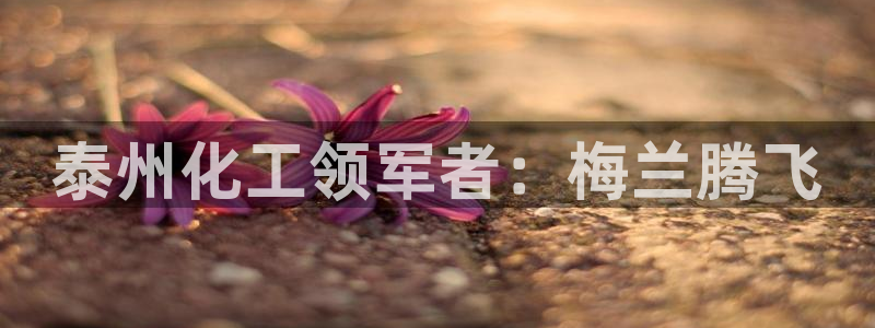 球盟会可以提现么现在：泰州化工领军者：梅兰腾飞
