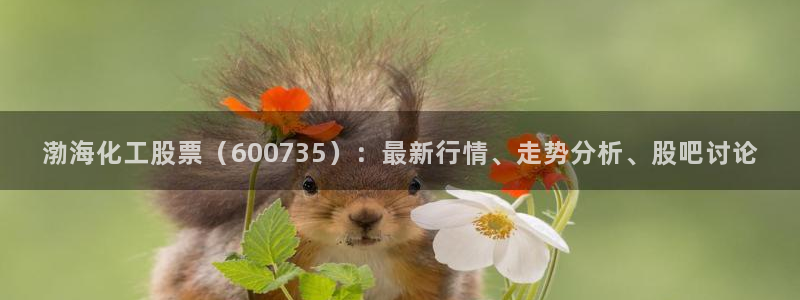 球盟会进不去吗