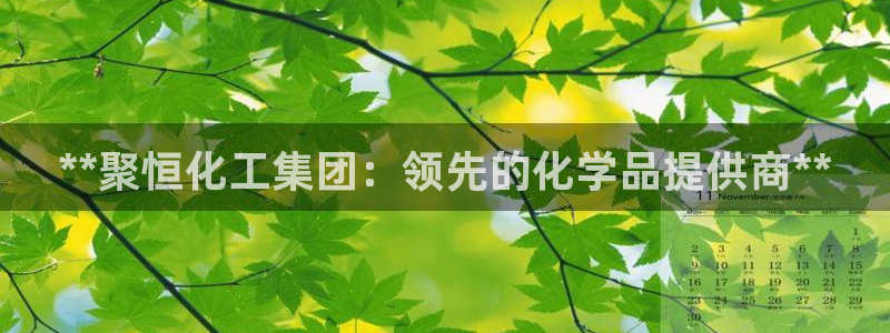 球盟会APP下载：**聚恒化工集团：领先的化学品提供商**