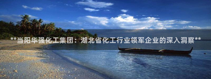 球盟会吧：**当阳华强化工集团：湖北省化工行业领军企业的深入