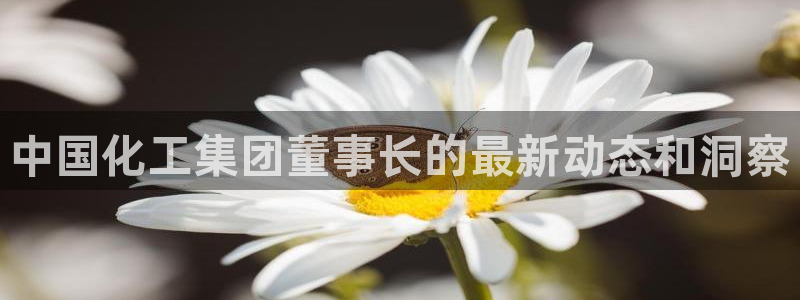球盟会进不去：中国化工集团董事长的最新动态和洞察