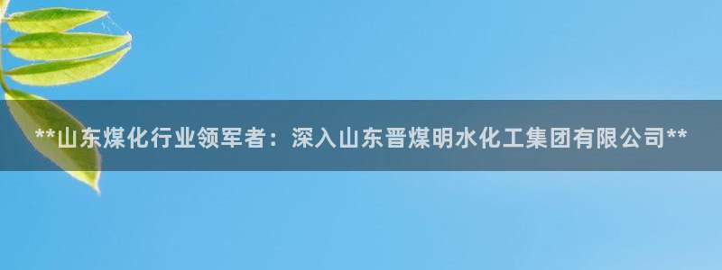球盟会app最新地址在哪里：**山东煤化行业领军者：深入山东