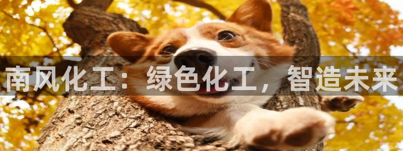 球盟会乐虎：南风化工：绿色化工，智造未来