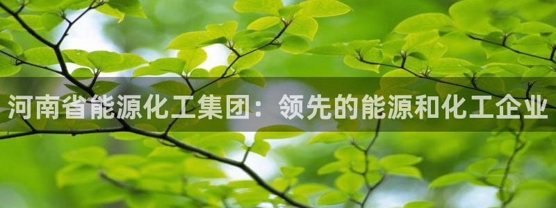 球盟会里面有打牌的嘛知乎：河南省能源化工集团：领先的能源和化