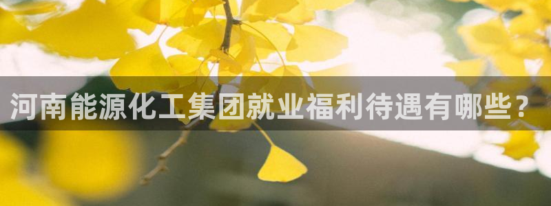 球盟会app最新地址在哪看