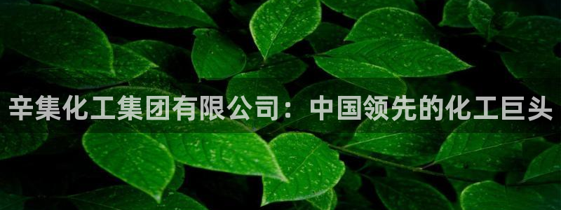 球盟会下款快吗：辛集化工集团有限公司：中国领先的化工巨头