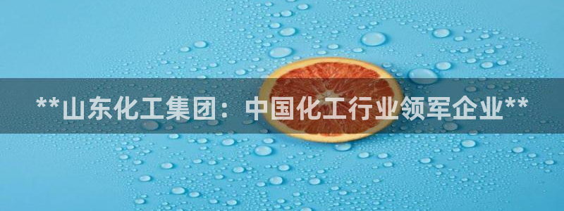 球盟会优惠券：**山东化工集团：中国化工行业领军企业**