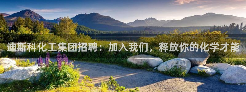 球盟会里面有打牌的嘛知乎