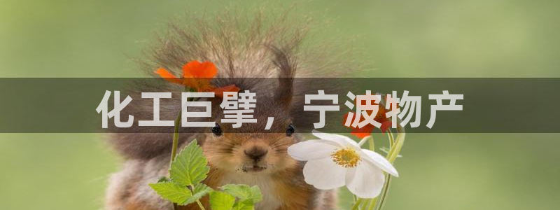 球盟会官方登录平台：化工巨擘，宁波物产