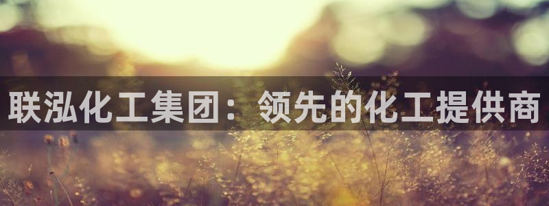 球盟会官方网址入口：联泓化工集团：领先的化工提供商