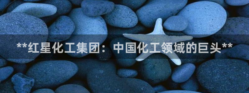 球盟会官网登录入口