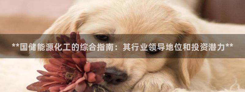 球盟会官方登录平台：**国储能源化工的综合指南：其行业领导地