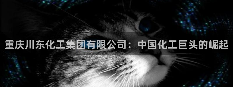 球盟会最新网