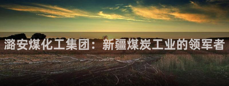 球盟会头号玩家