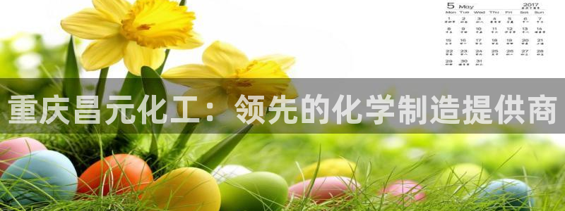 球盟会体验金球奖吗：重庆昌元化工：领先的化学制造提供商