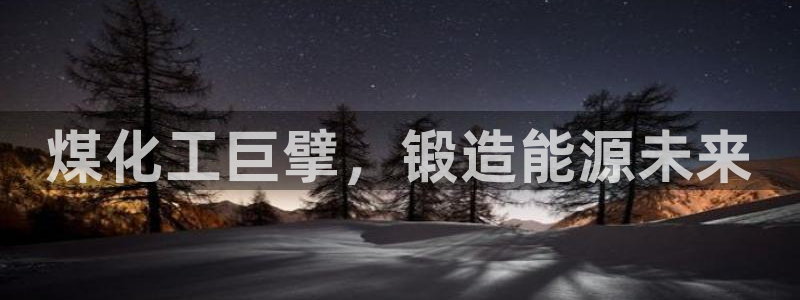 球盟会qmh网页版登录 - qm球盟会官方网站：煤化工巨擘，