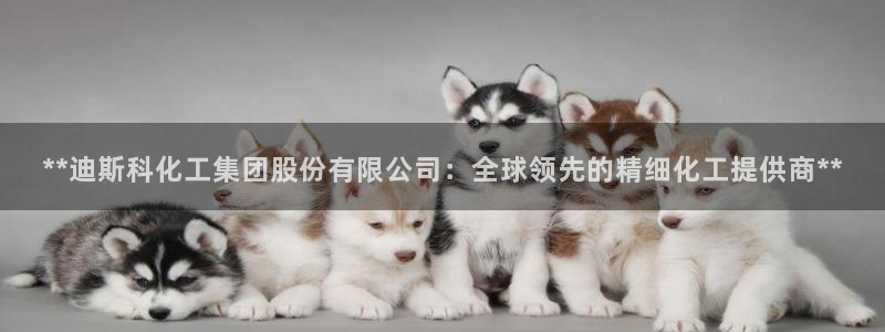 球盟会app最新地址在哪里