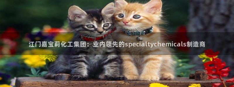 球盟会官方登录平台入口