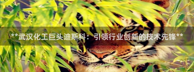 球盟会贴吧