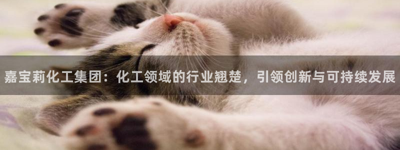 球盟会国际官网：嘉宝莉化工集团：化工领域的行业翘楚，引领创新