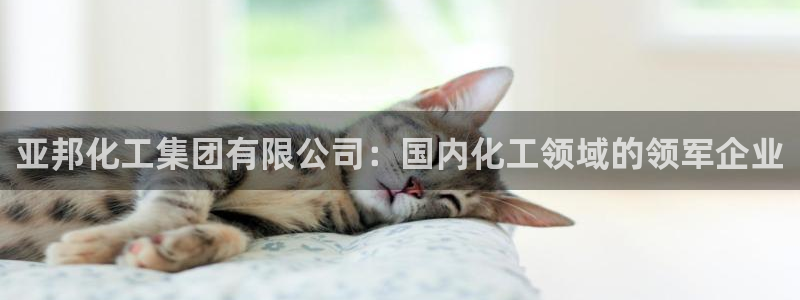 球盟会官方网站是什么