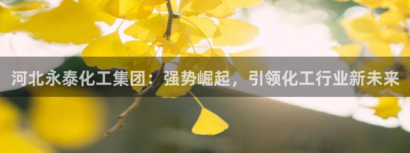 球盟会官方登录平台入口