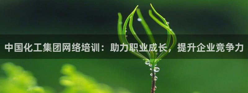 球盟会app安装