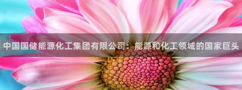 球盟会官方登录平台