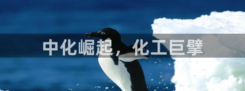 球盟会最新